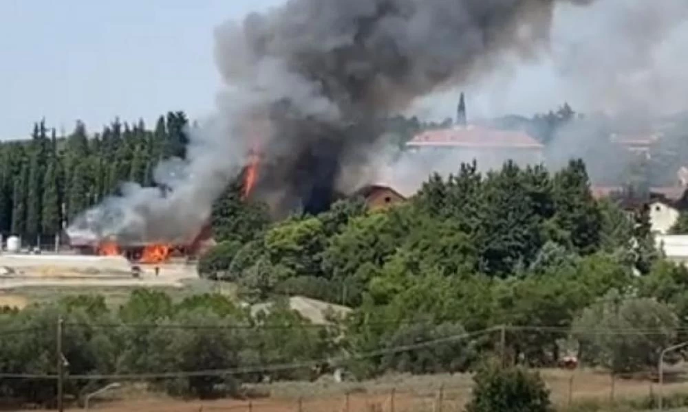 Φωτιά στην Αμερικανική Γεωργική Σχολή στη Θεσσαλονίκη (βίντεο)